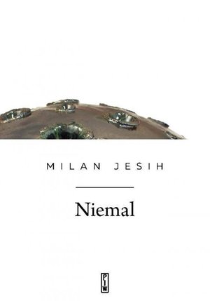 Niemal – ebook