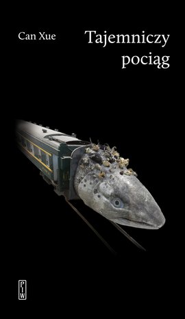 Tajemniczy pociąg – ebook