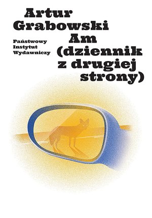 Am (dziennik z drugiej strony) – ebook