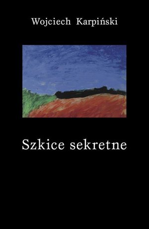 Szkice sekretne – ebook