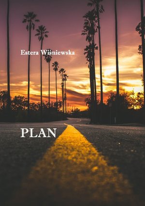 Plan – ebook