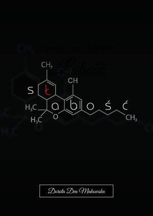 sŁabość – ebook