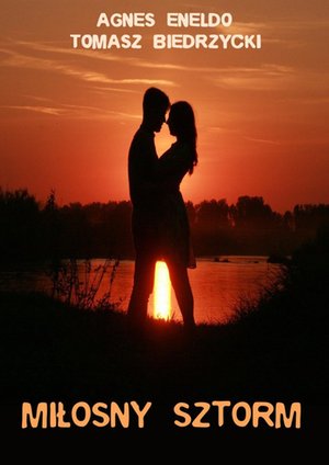 Miłosny sztorm – ebook