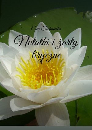 Notatki i żarty liryczne – ebook