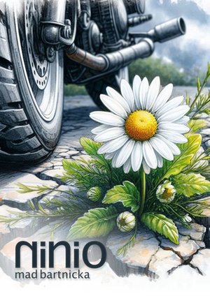 Ninio – ebook