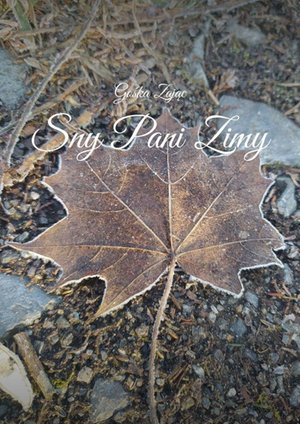 Sny Pani Zimy – ebook