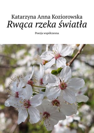 Rwąca rzeka światła – ebook