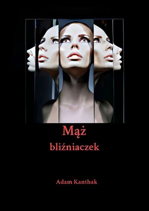 Mąż bliźniaczek – ebook