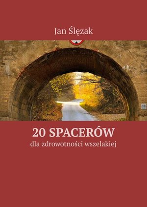 20 spacerów – ebook