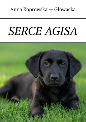 Serce Agisa – ebook