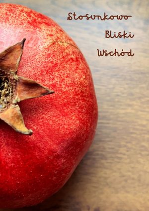 Stosunkowo Bliski Wschód – ebook