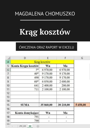 Krąg kosztów – ebook