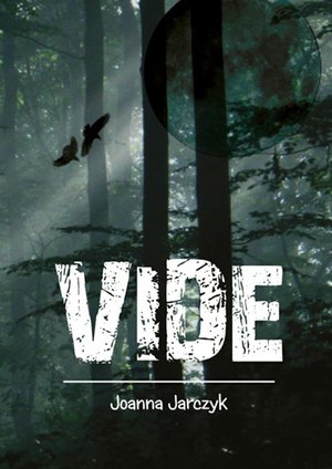 Vide – ebook