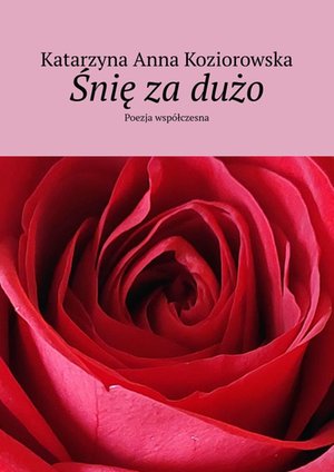 Śnię za dużo – ebook