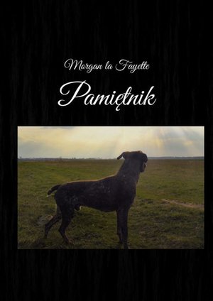 Pamiętnik Morgana la Fayette – ebook