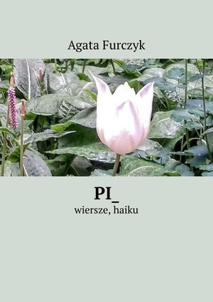 Pi_ – ebook