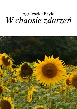 W chaosie zdarzeń – ebook