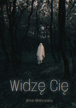 Widzę cię – ebook