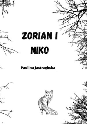 Zorian i Niko – ebook
