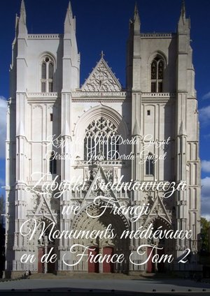Zabytki średniowiecza we Francji. Tom 2 – ebook