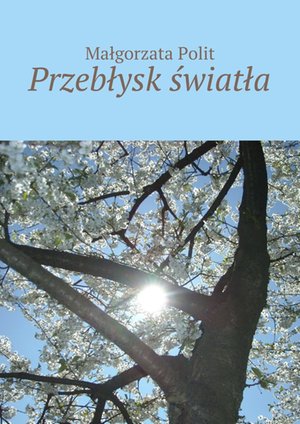 Przebłysk światła – ebook