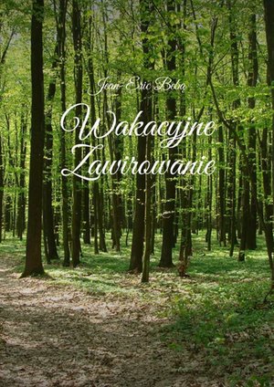 Wakacyjne zawirowanie – ebook