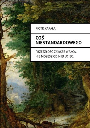 Coś niestandardowego – ebook