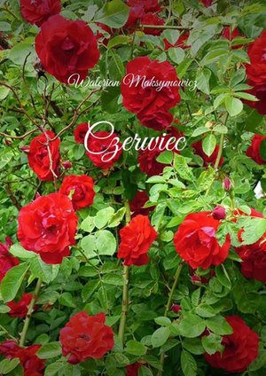 Czerwiec – ebook