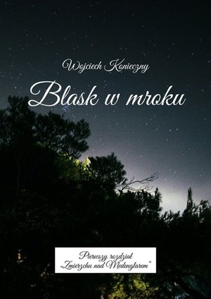 Blask w mroku – ebook