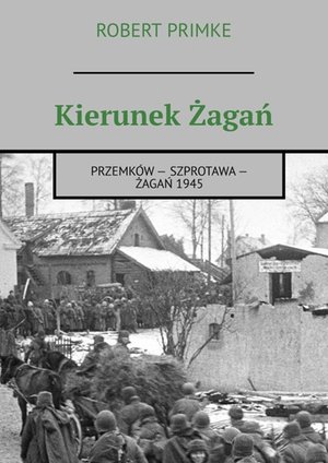 Kierunek Żagań – ebook