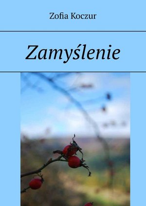 Zamyślenie – ebook