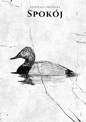 Spokój – ebook