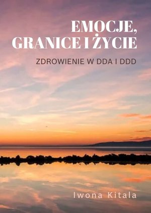 Zdrowienie w DDA i DDD – ebook