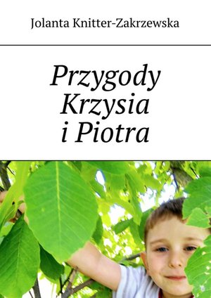 Przygody Krzysia i Piotra – ebook