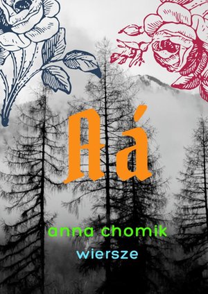 Aá – ebook