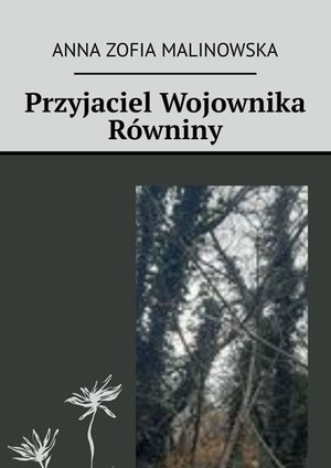 Przyjaciel Wojownika Równiny – ebook