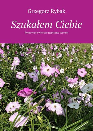 Szukałem Ciebie – ebook