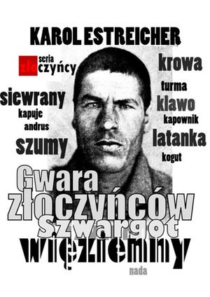 Gwara złoczyńców. Szwargot więzienny – ebook