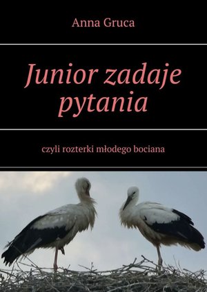 Junior zadaje pytania – ebook