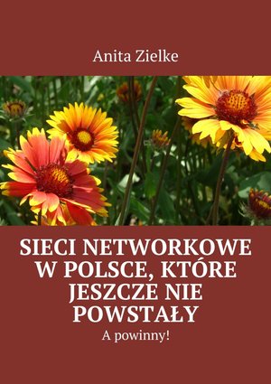 Sieci networkowe w Polsce, które jeszcze nie powstały, a powinny! – ebook