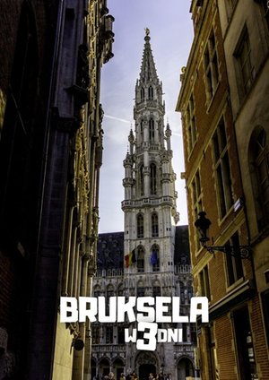 Bruksela w 3 dni – ebook