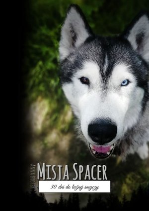Misja Spacer – ebook
