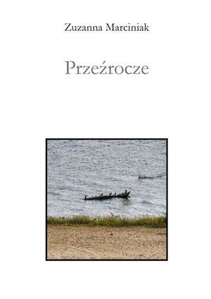 Przeźrocze – ebook