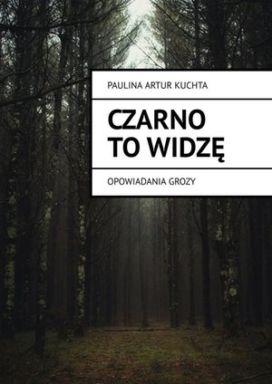 Czarno to widzę – ebook