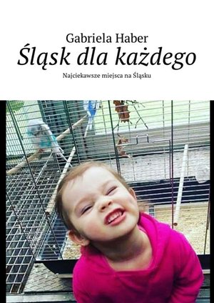 Śląsk dla każdego – ebook