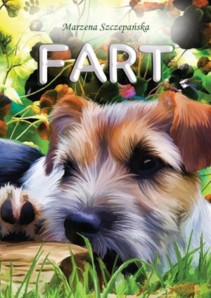 Fart – ebook