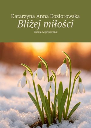 Bliżej miłości – ebook