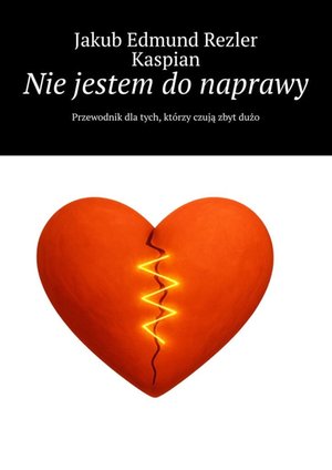 Nie jestem do naprawy – ebook