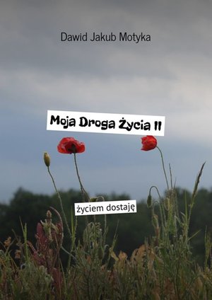 Moja Droga Życia II – ebook