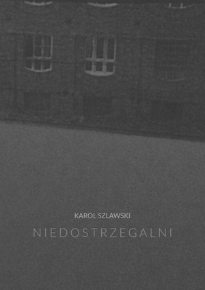 Niedostrzegalni – ebook